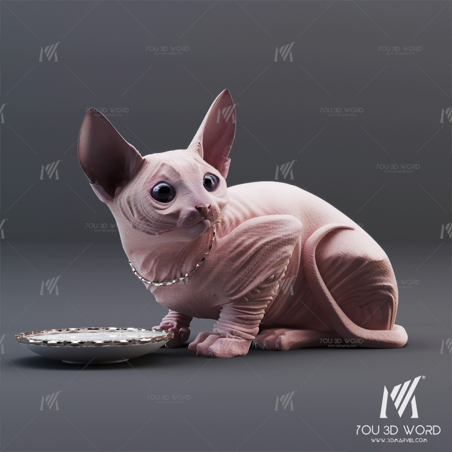 Modern animal Sphynx cat 3d model